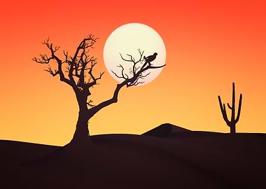 Desert Sunset