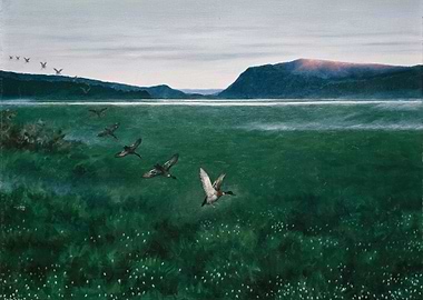 The twelve Wild Ducks