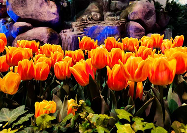 Tulips of Bellagio