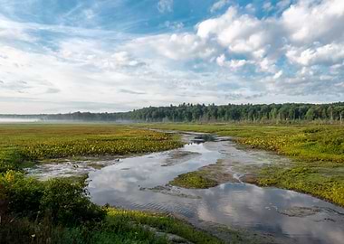 Swan Creek Marsh