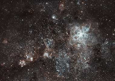 Tarantula Nebula