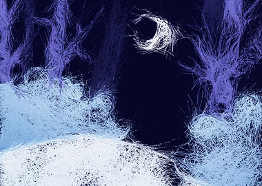 Winter Moonlight Vibe