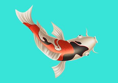 Koi fish