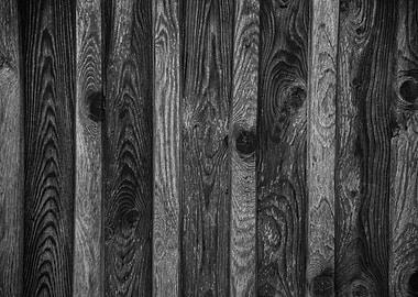 Rustic Wood Texture 1