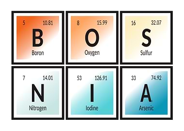 Elements of Bosnia