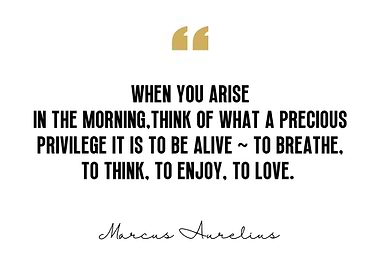 Marcus Aurelius Quote