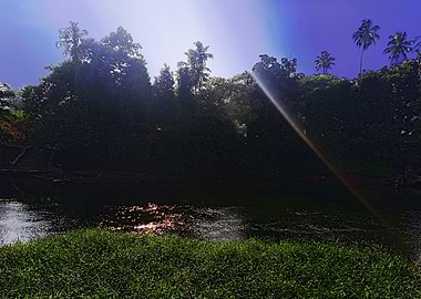 River in Morning Gloom