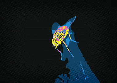 Fly in Pop Art Style