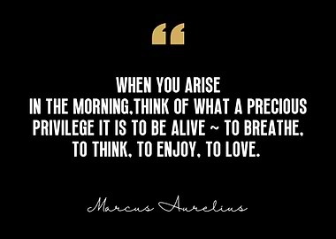 Marcus Aurelius Quote