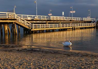 Sopot Pier At Sunrise