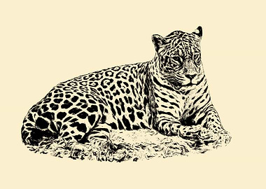Lying jaguar