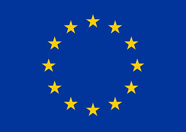European Union Flag
