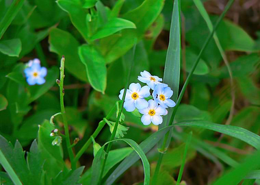 A Feast for the Eyes of Na