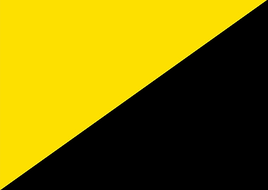 Anarcho capitalism flag