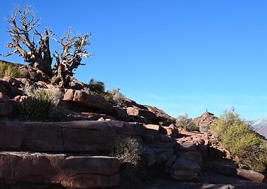 On top of the world 2