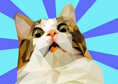 scared cat meme