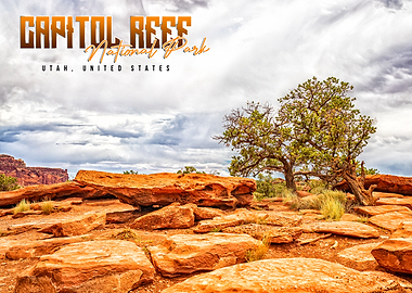 Capitol Reef National Park