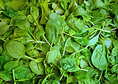spinach