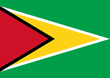 Flag of Guyana