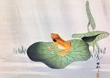 Frog On Lotus Leaf