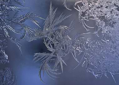 Frost art ice angel