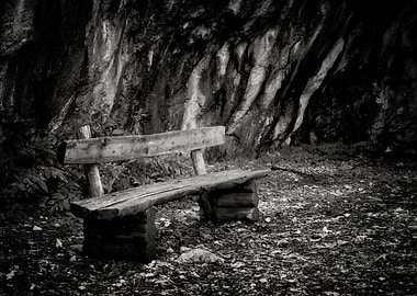 Bench On Mountain Trail