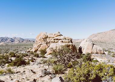 Joshua Tree National Park