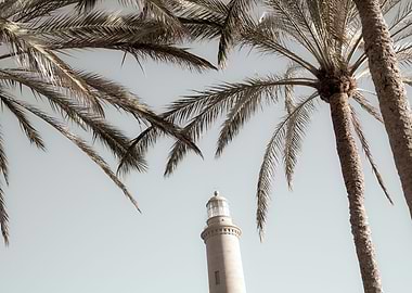 Lighthouse and Palms 1