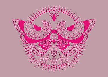 Pink Lunar Moth