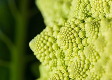 A close up view of a roman