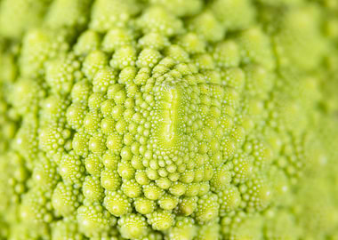 A close up view of a roman