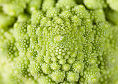 A close up view of a roman