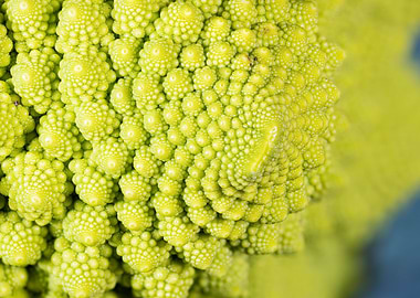 A close up view of a roman