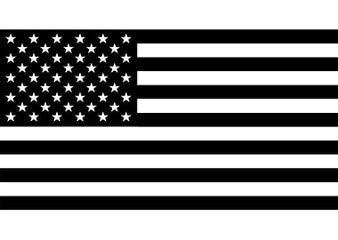 Black And White USA Flag