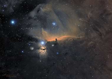 Wiedfeld of the Horsehead