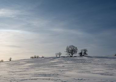 Snowy landscape