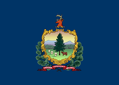 Vermont State Flag