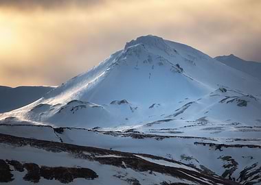 Moody Winter Contrast