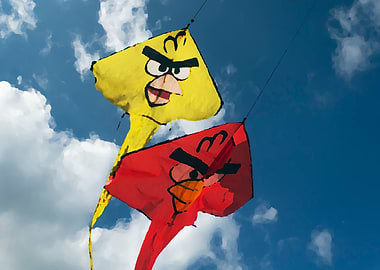 Flying kite