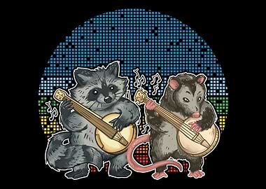 Raccoon Opossum playing