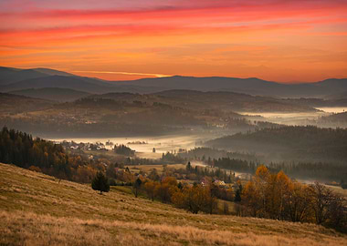 Autumn travel misty dawn