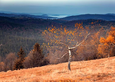 Autumn travel, misty hills