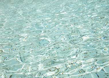 Coins Trevi Fountain 1