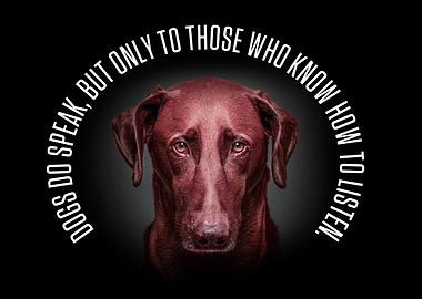 Dogs do speak
