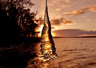 Icicle in sunset