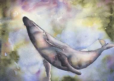 Whale swimming in ocean