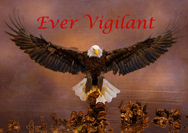 Ever Vigilant