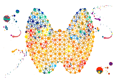 Human Thyroid Anatomy