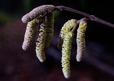 they are already there