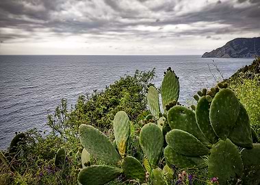 Cinque Terre village